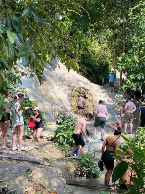 Chiang Mai: Afternoon Bua Tong Sticky Waterfall by Red Taxi - Red Taxi, Songtaew Comfort, and Why the Driver Matters