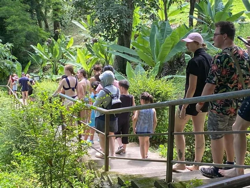 Chiang Mai: Afternoon Bua Tong Sticky Waterfall by Red Taxi - The Sticky Waterfall Climb: What You Do and What It Feels Like