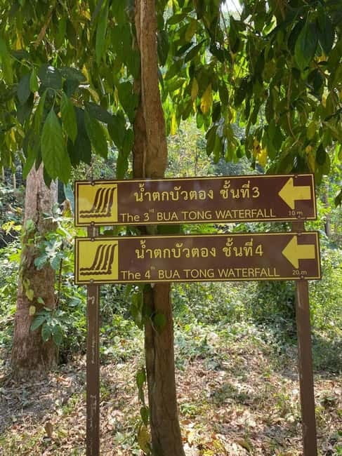Chiang Mai: Afternoon Bua Tong Sticky Waterfall by Red Taxi - What to Bring for 2 Hours at Bua Tong