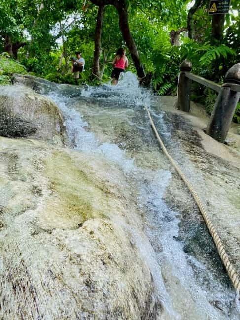 Chiang Mai: Afternoon Bua Tong Sticky Waterfall by Red Taxi - Who This Tour Is Best For