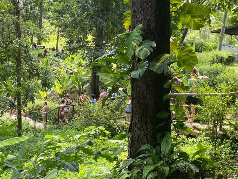 Chiang Mai: Afternoon Bua Tong Sticky Waterfall by Red Taxi - Price and Value: Is $32 Fair for Bua Tong Plus Transport?