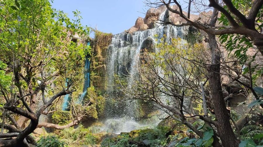 Chiang Mai: Angel Waterfall & Sticky Waterfall & Wat Ban Den - Why This Day Trip Works: Temples, Water, and a Real Climb