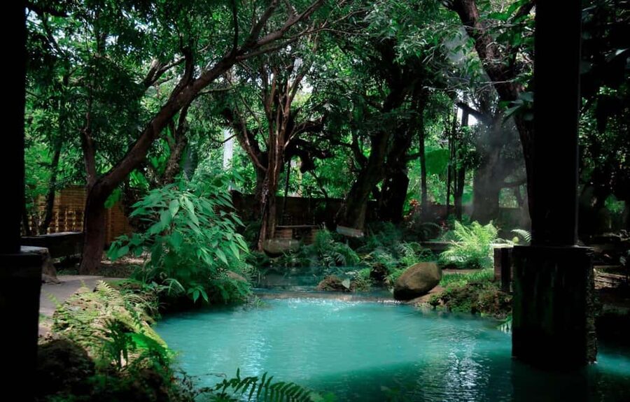 Chiang Mai: Angel Waterfall & Sticky Waterfall & Wat Ban Den - Price and Value: What You Get for Around $64