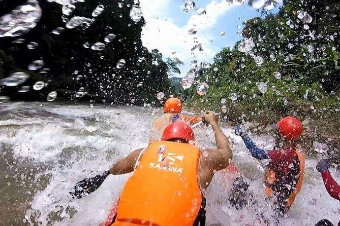 Chiang Mai ATV White Water Rafting and Elephant Sanctuary Full-Day Trip - Elephant Nature Park: the highlight is close, not distant