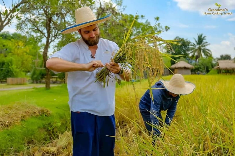 Chiang Mai: Authentic Cooking Class with Market & Farm Visit - Morning, afternoon, evening, or full day: the mango sticky rice and coconut milk differences