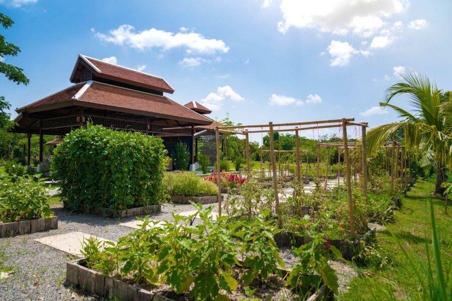 Chiang Mai: Authentic Cooking Class with Market & Farm Visit - Market first: how the ingredient hunt makes your Thai food taste right