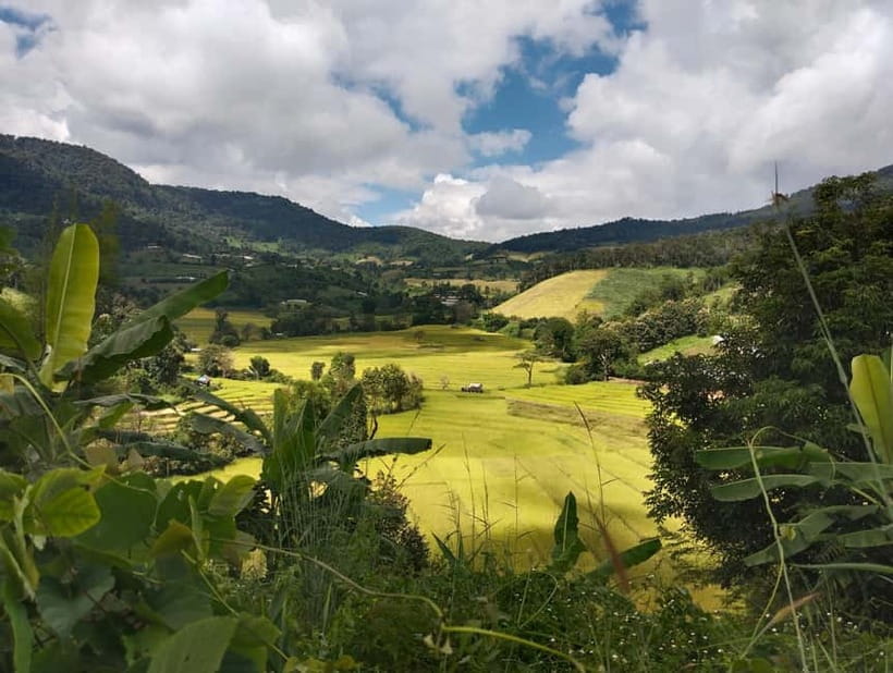 Chiang Mai Authentic Trekking - Key Things You’ll Notice on This Chiang Mai Trek