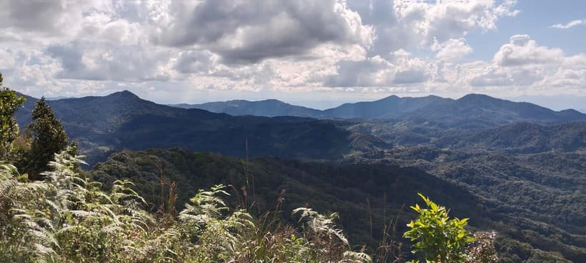 Chiang Mai Authentic Trekking - 7:45 AM Pickup, Van Ride, Market Stop, and Viewpoints South of Chiang Mai