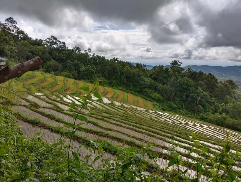 Chiang Mai Authentic Trekking - Khun Poi Village (Karen Hill Tribe): A School Start That Changes the Mood