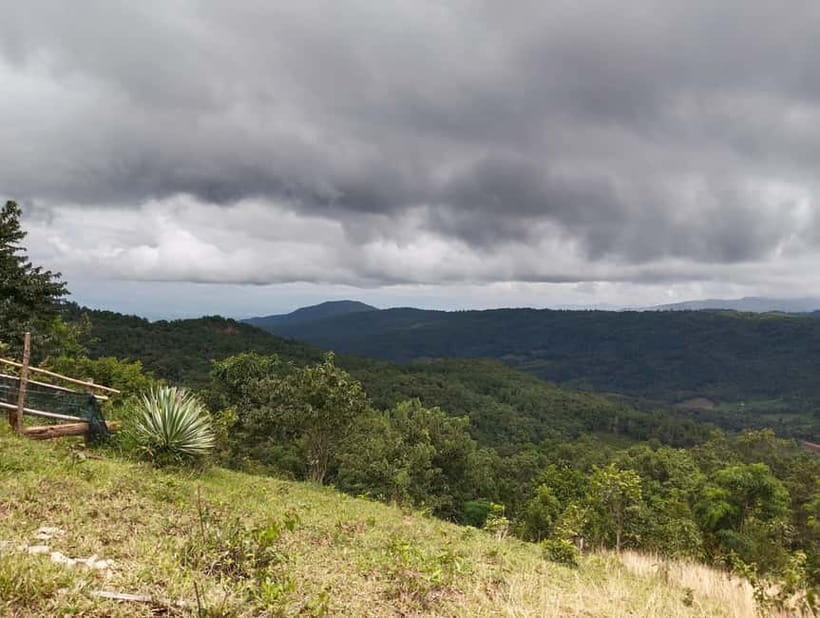 Chiang Mai Authentic Trekking - The 4 to 5 Hours of Trekking: Rice Fields, Evergreen Forest, and Phalai Mountain