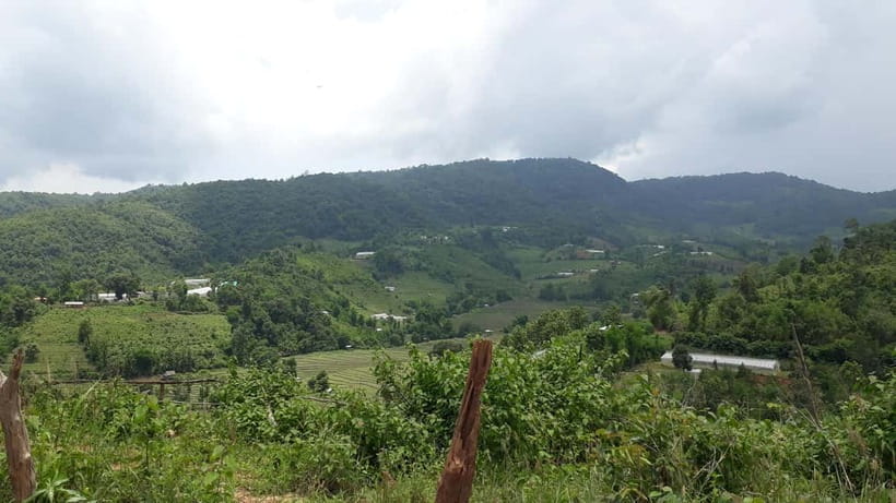 Chiang Mai Authentic Trekking - Fitness Check: Medium Trek, Steep Moments, and What to Watch For