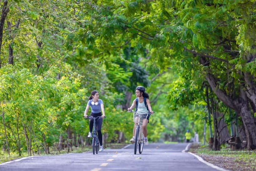 Chiang Mai Bicycle: Into The Lanna Countryside Guided Tour - Price and Value: Does $53 Make Sense?