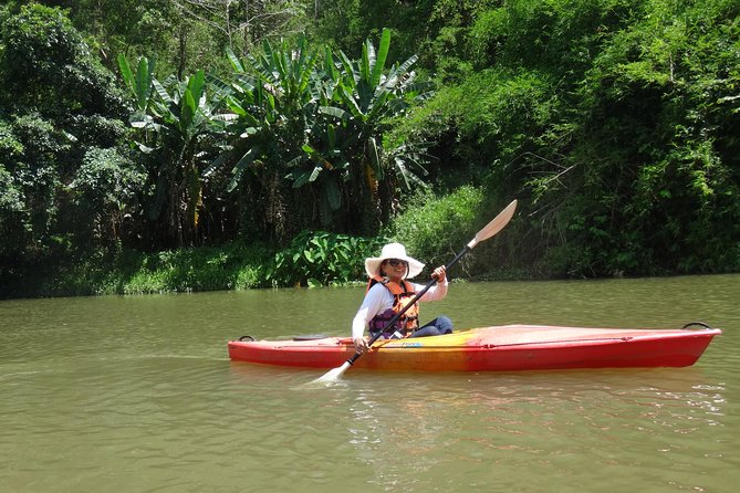 Chiang Mai Biking & River Kayak : Gentle Thrills in a Lush Valley - Why This Combo Tour Works So Well