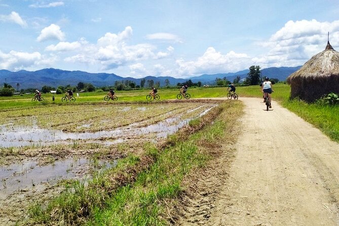 Chiang Mai Biking & River Kayak : Gentle Thrills in a Lush Valley - The Mae Ping River Kayak Portion: Quiet Water, Real Control