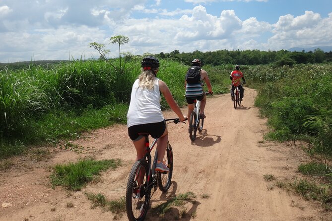 Chiang Mai Biking & River Kayak : Gentle Thrills in a Lush Valley - Lunch at Mango Plantation Restaurant and the Snack Stops That Keep the Day Smooth