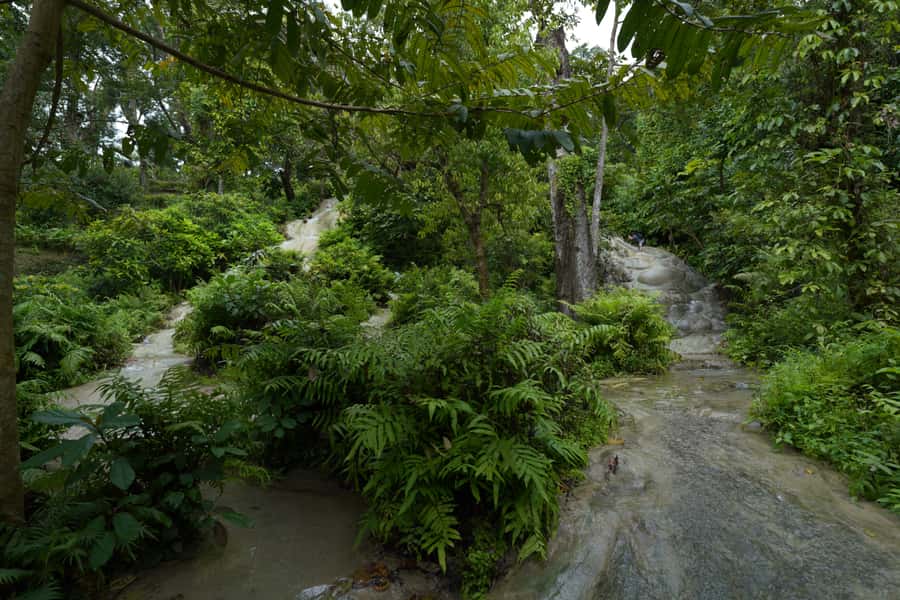 Chiang Mai: Bua Thong Sticky Waterfall & Huge Cave & Buffet - Lunch and drinks: Thai buffet style, seasonal fruit, and vegetarian reality
