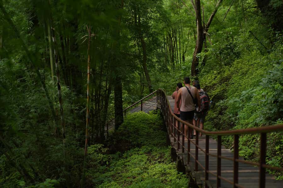 Chiang Mai: Bua Thong Sticky Waterfall & Huge Cave & Buffet - Should you book this Chiang Mai Sticky Waterfall, Cave, and Buffet day trip?