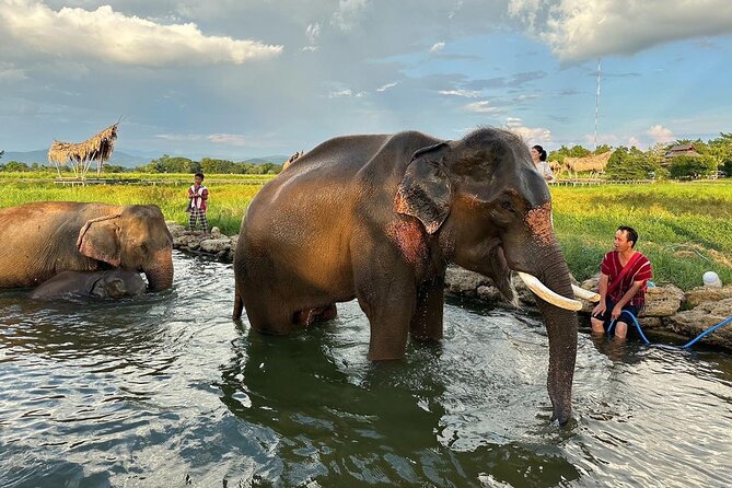 Chiang Mai Chapulin Elephant Care and Sticky Waterfall - Practical tips: what to wear and what to plan for
