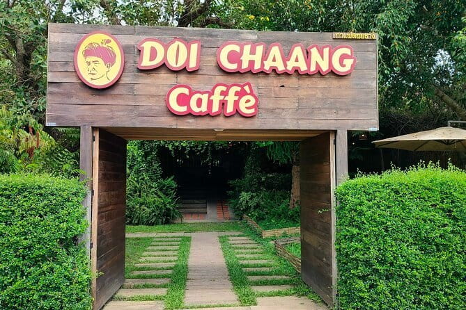 Chiang Mai Chiang Rai Temples Tour with Premium Transfer - Alphard Pickup and the Real Rhythm of the Day