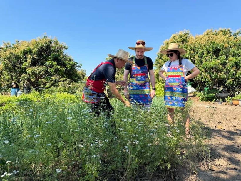 Chiang Mai : Cook in Farm, Market tour & Go by a Local Train - Chama Dhevi monument and shopping for the right Thai ingredients