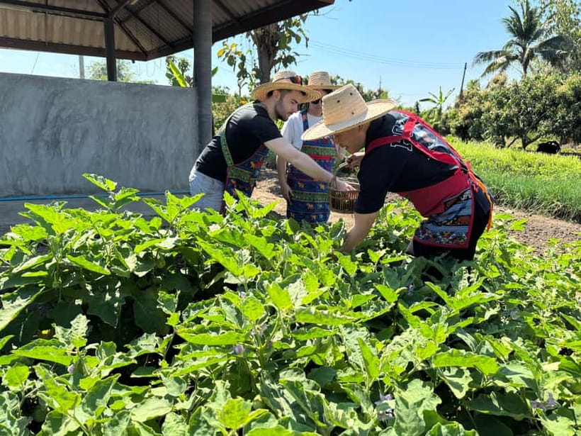 Chiang Mai : Cook in Farm, Market tour & Go by a Local Train - The organic farm in a small village, where your herbs have roots