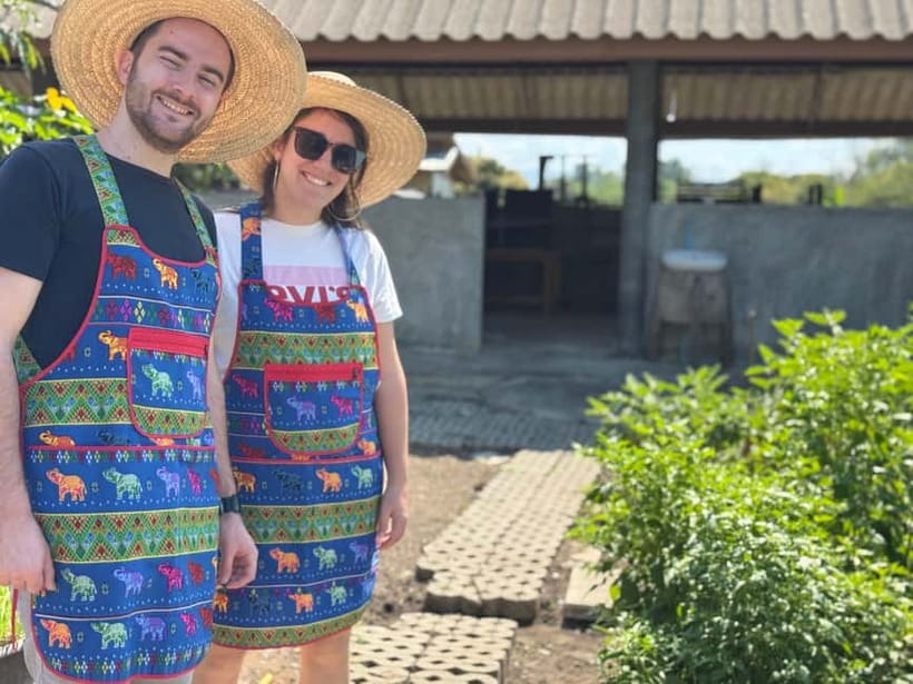 Chiang Mai : Cook in Farm, Market tour & Go by a Local Train - Price and logistics: does $57 feel like good value?