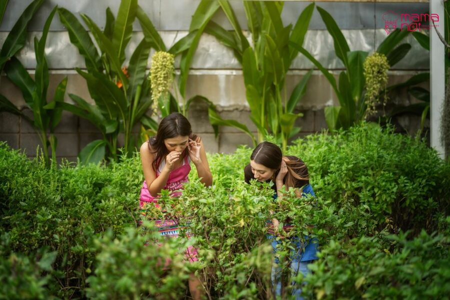 Chiang Mai: Cooking Class with Organic Farm at Mama Noi - Who This Cooking Class Suits Best
