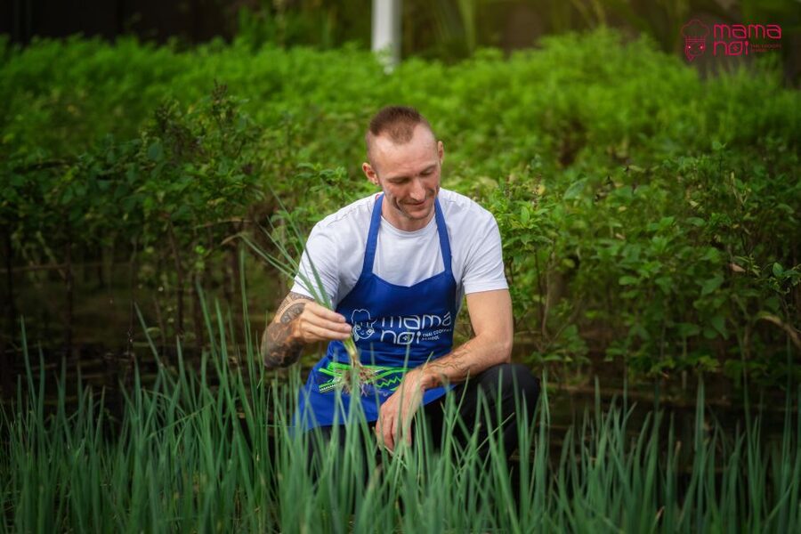 Chiang Mai: Cooking Class with Organic Farm at Mama Noi - Small Group Energy: The Experience Style You Should Expect
