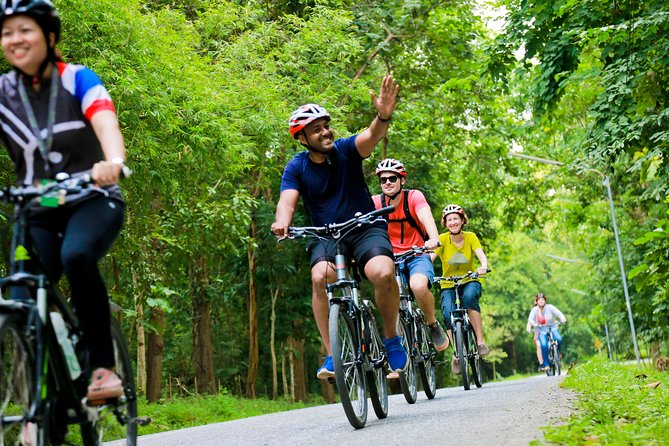 Chiang Mai Countryside Guided Bike Tour - Royal Park Rajapruek break, then getting home without city-stress