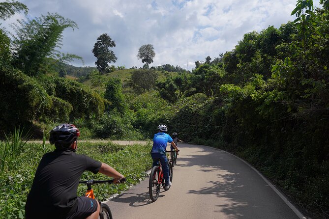 Chiang Mai: Cycling Nam Phare Countrysides, Breezy-Relax & Lunch - Key Points You’ll Care About