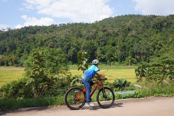Chiang Mai: Cycling Nam Phare Countrysides, Breezy-Relax & Lunch - Feeding and Bathing Elephants (When Included)