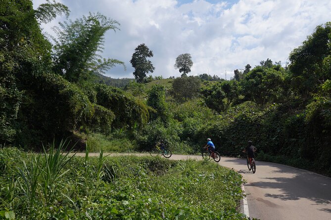 Chiang Mai: Cycling Nam Phare Countrysides, Breezy-Relax & Lunch - Stops for Views and Local Interaction