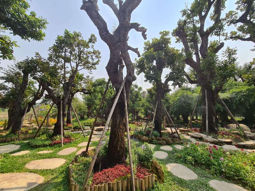 Chiang Mai: Dantewada Land of Angels & Sticky Waterfall Tour - Timing, food, and what to pack so the day stays fun