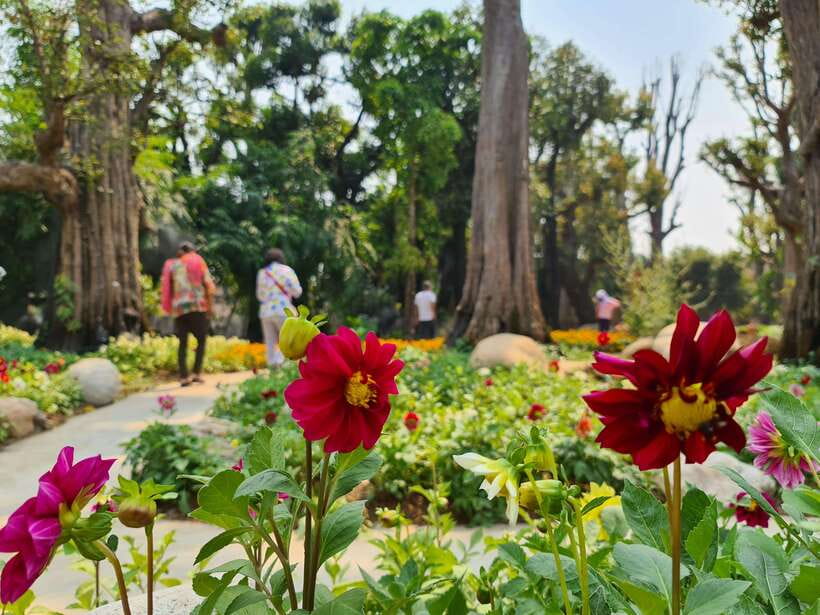 Chiang Mai: Dantewada Land of Angels & Sticky Waterfall Tour - Value at about $54: what you’re paying for and why it makes sense