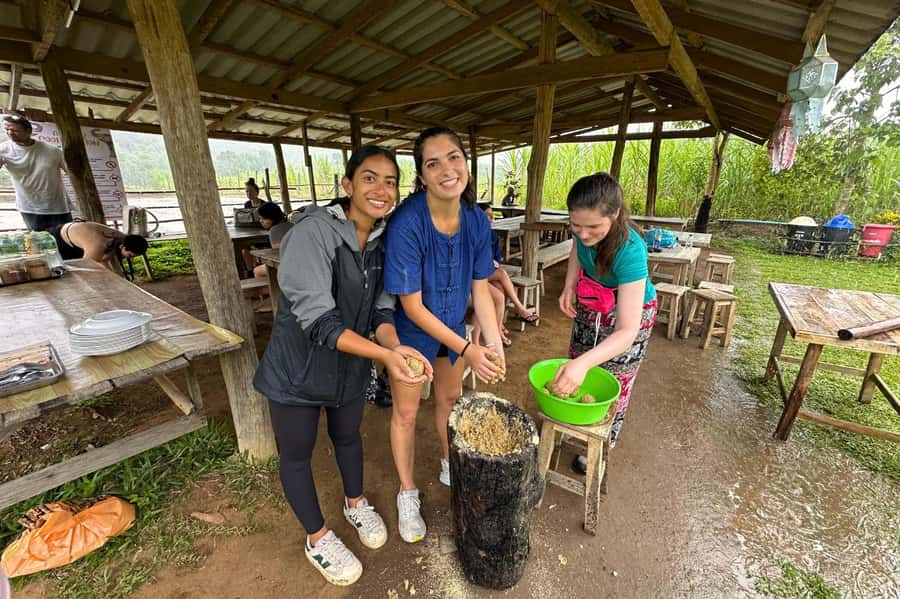 Chiang Mai: Day for Elephant Observation Only Half-day Trip - What you see at Big Boy: roaming elephants and respectful distance