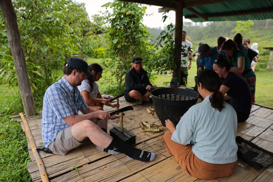 Chiang Mai: Day for Elephant Observation Only Half-day Trip - Bamboo shoots and medicine balls: why the details matter