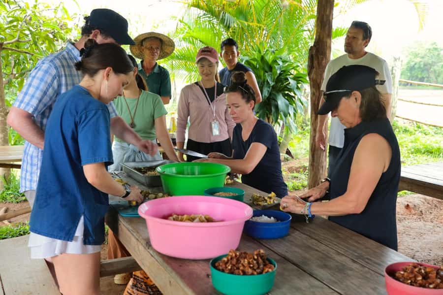Chiang Mai: Day for Elephant Observation Only Half-day Trip - Pad Thai workshop and lunch: cooking with local experts