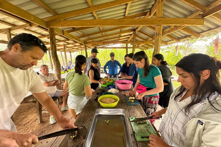 Chiang Mai: Day for Elephant Observation Only Half-day Trip - Chiang Mai hotel pickup to Doi Inthanon area: how the timing really works