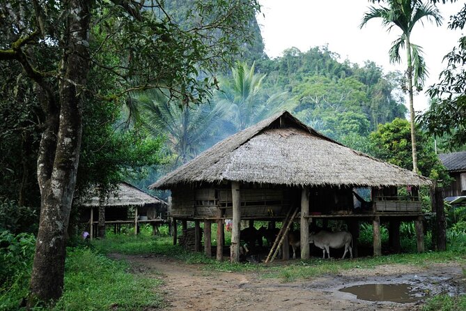 Chiang Mai Day Tour: Chiang Dao Cave and Hill Tribes - Price and Value: What You’re Really Paying For