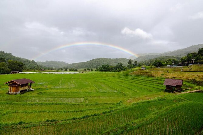 Chiang Mai - Doi Inthanon Full day Tour - Why Doi Inthanon Feels Easier When Someone Else Handles the Driving