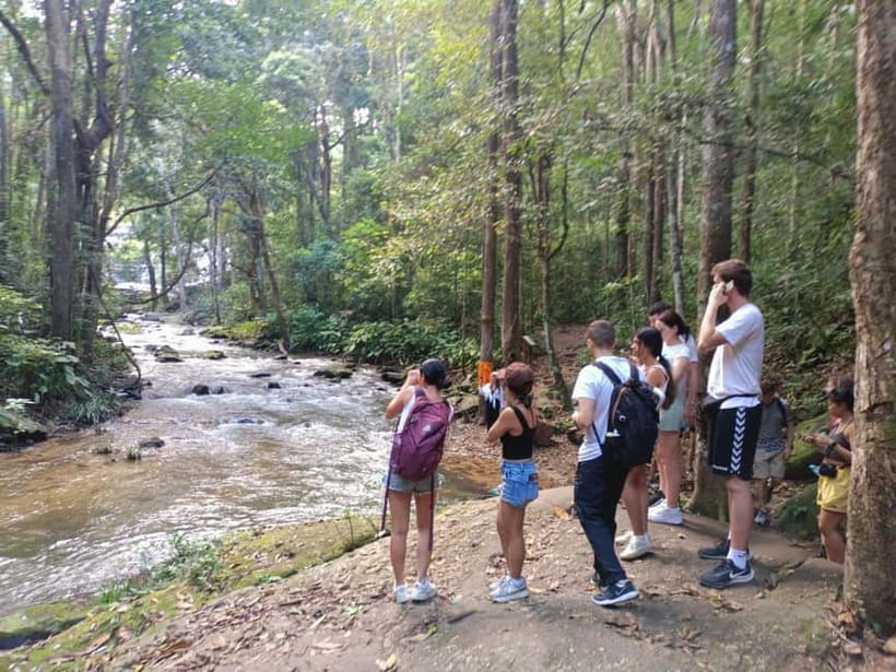 Chiang Mai: Doi Inthanon Hiking & Elephant Sanctuary Program - The Pha Dok Siew Nature Trail: Waterfalls, Rice, and Wildlife Chances