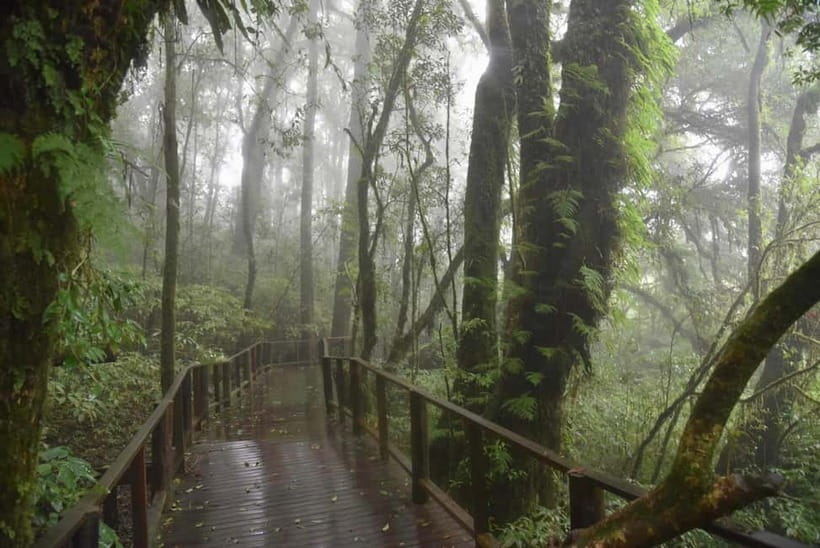 Chiang Mai: Doi Inthanon National Park and Kew Mae Pan Tour - Thailand’s Highest Spot Changes the Mood Fast