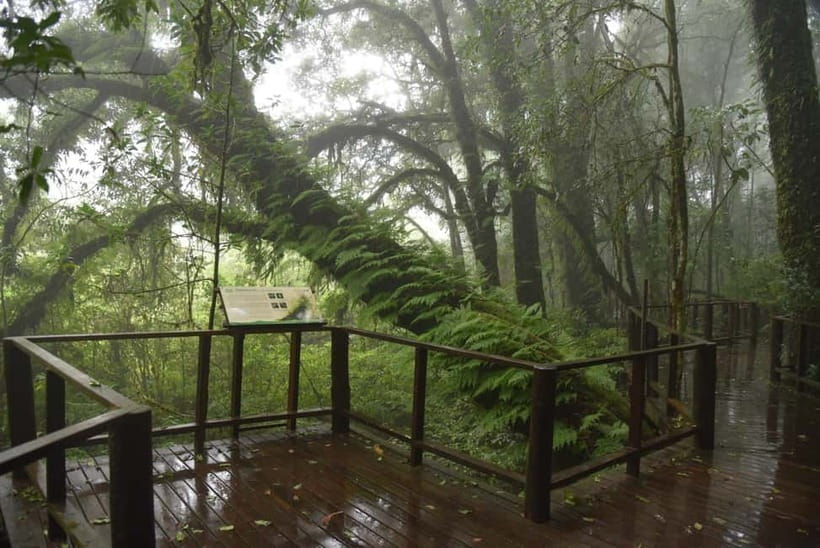 Chiang Mai: Doi Inthanon National Park and Kew Mae Pan Tour - Twin Pagodas for King and Queen, Gardens Plus Valley Views