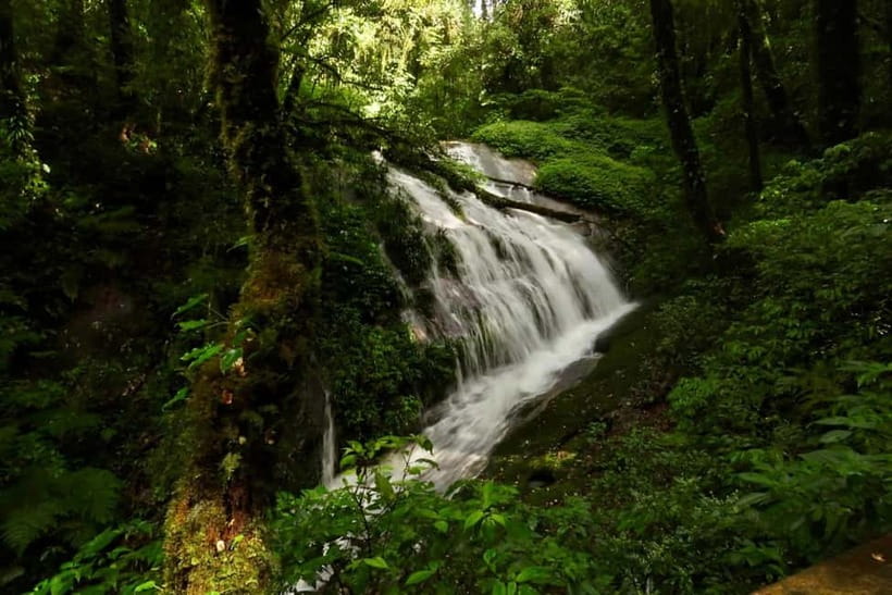 Chiang Mai: Doi Inthanon National Park and Kew Mae Pan Tour - Kew Mae Pan Nature Trail: 2.5 Kilometers Through Cloud Forest
