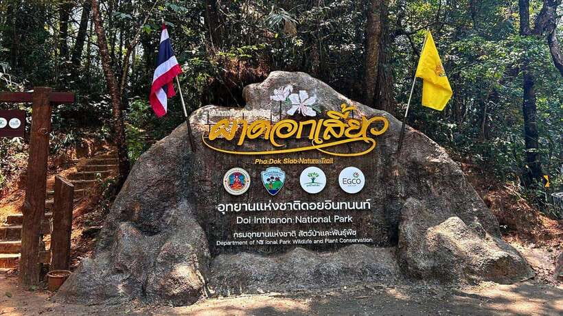 Chiang Mai: Doi Inthanon National Park and Pha Dok Siew Trek - Key takeaways before you go