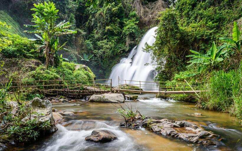 Chiang Mai: Doi Inthanon National Park and Pha Dok Siew Trek - Twin Pagodas of the King and Queen: what you get in 45 minutes