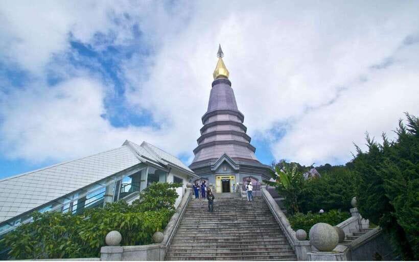Chiang Mai: Doi Inthanon National Park and Pha Dok Siew Trek - Pha Dok Siew Nature Trail: gentle pace, lots of steps, real jungle
