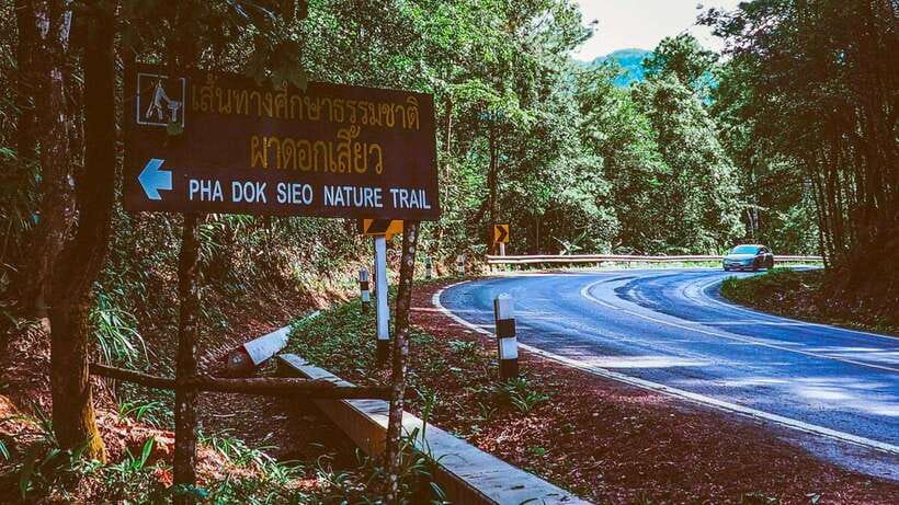 Chiang Mai: Doi Inthanon National Park and Pha Dok Siew Trek - Who should book, and who might want a different plan
