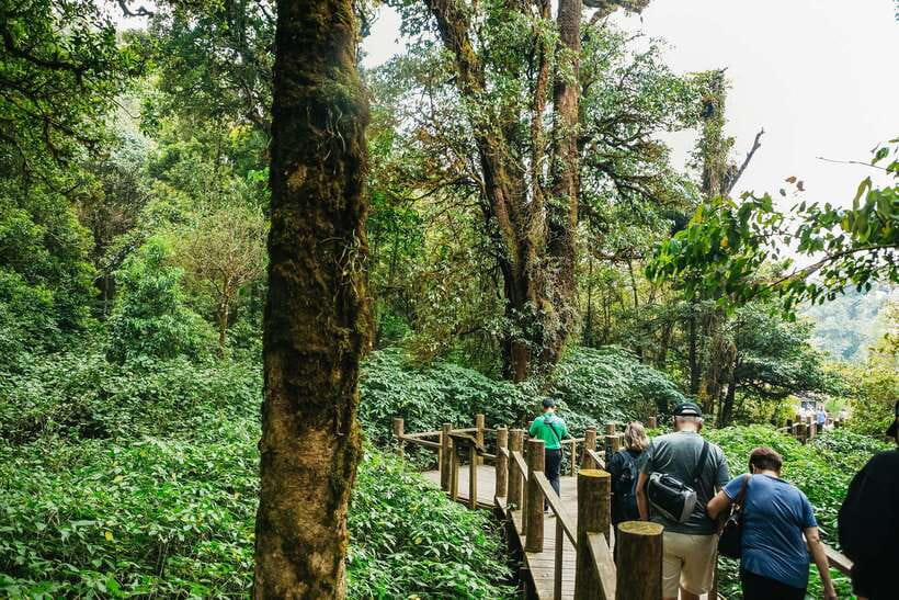 Chiang Mai: Doi Inthanon National Park Eco-Friendly Tour - Why Doi Inthanon works as a day trip from Chiang Mai
