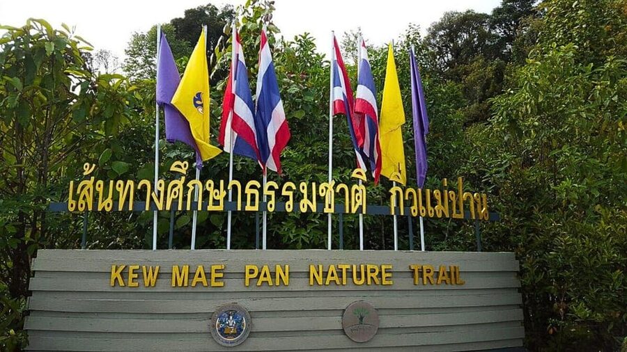 Chiang Mai:Doi Inthanon National Park & Hike at Kew Mae Pan - Kew Mae Pan Nature Trail: The Two-Hour Hike That Makes the Day